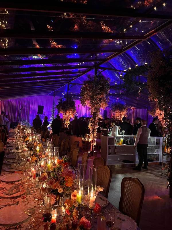 Evening reception with purple lighting