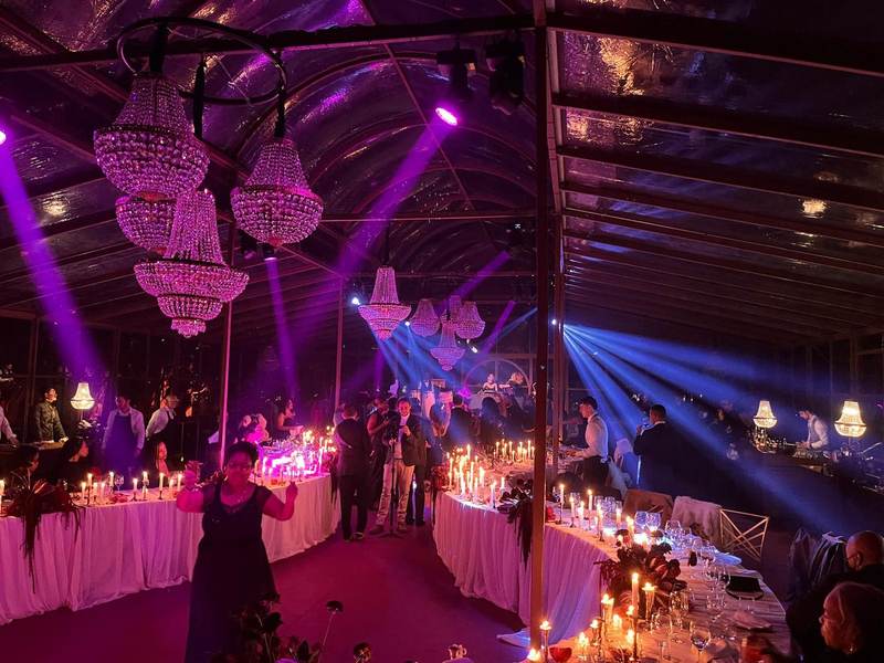 Chandeliers and purple lights inside greenhouse